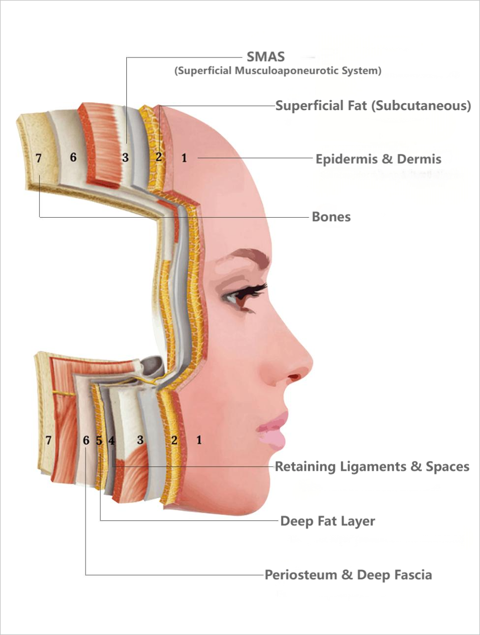 03a7a4e9584134c47537454342fd2b2a9a312070a3cf5-cWV38M